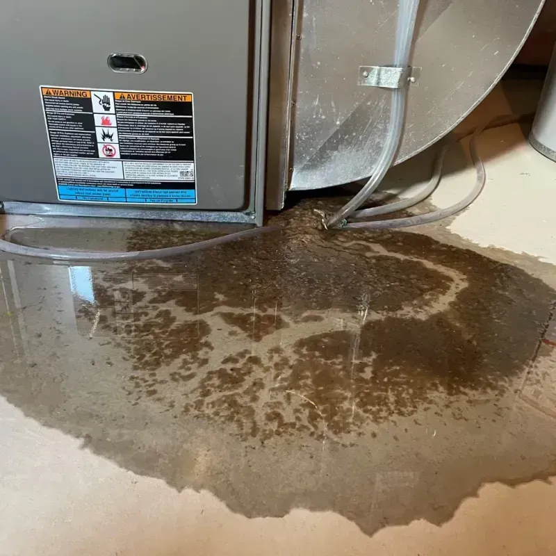 Appliance Leak Cleanup in Gadsden, AL